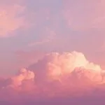 Pastel Pink Cloudscape Photo