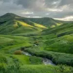 Peaceful Calm Nature Green Hills