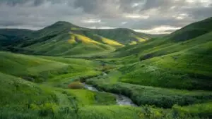 Peaceful Calm Nature Green Hills