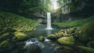 Peaceful Green Moss Forest Waterfall Fresh Nature