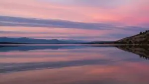Peaceful Soft Pink Sky Quiet Lake Calm Nature Sunset