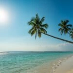 Peaceful Turquoise Beach Paradise Sunny Coast