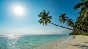 Peaceful Turquoise Beach Paradise Sunny Coast