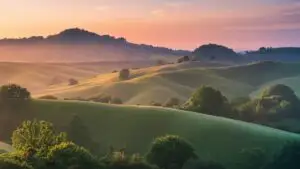 Peaceful Warm Tones Rolling Hills Soft Morning Light