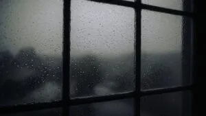 Rain Falling on Window Glass