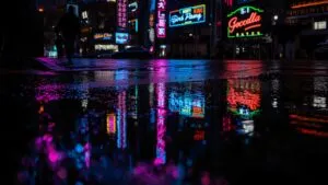Reflection of Signs in Puddles