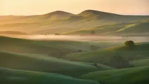 Rolling Hills Under Soft Morning Light