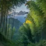 Serene Bamboo Grove in Gentle Sunlight