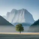 Serene Vastness and Lone Oak