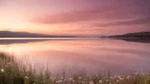 Soft Pink Sky Over Quiet Lake