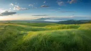 Summer Solstice Countryside View