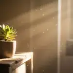 Sunlit Dust Particles Floating in Quiet Room