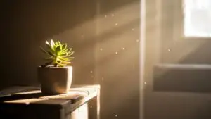 Sunlit Dust Particles Floating in Quiet Room