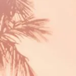 Tropical Palm Shadows Display