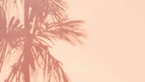 Tropical Palm Shadows Display