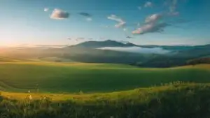 Vibrant Meadows Beneath Azure Sky