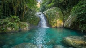 Waterfall Falling Into Crystal Pool