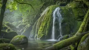 Waterfall Surrounded by Green Moss