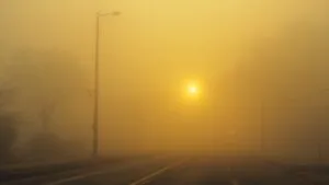 Yellow Light Through the Fog
