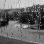 Black And White Rainy Window Condensation