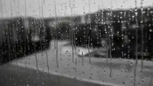 Black And White Rainy Window Condensation