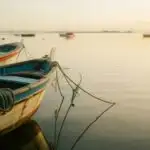Calm Harbor With Boats at Rest