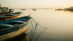 Calm Harbor With Boats at Rest