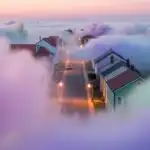 Cotton Candy Fog Covering Quiet Street
