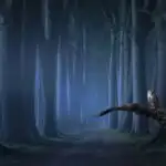 Dark Forest Path At Night Mysterious