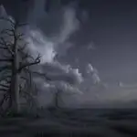 Dead Tree Under Cloudy Night Sky