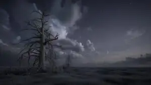 Dead Tree Under Cloudy Night Sky