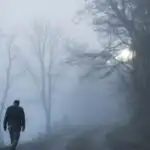 Foggy Path With No One Around