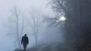 Foggy Path With No One Around
