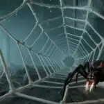 Giant Spider Web Tunnel Trap