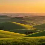 Green Hills Under Warm Golden Sunset