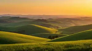 Green Hills Under Warm Golden Sunset