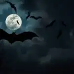 Halloween Bats Flying Over Moonlit Sky