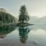 Mountain Lake Surrounded by Pines