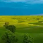 Prairie Grasslands Wide Open Sky Dramatic
