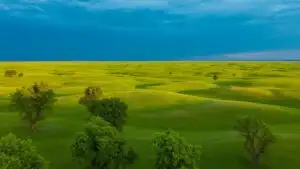 Prairie Grasslands Wide Open Sky Dramatic