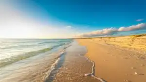 Pristine Ocean Waves on Amber Beach