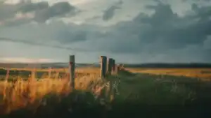 Quiet Field Under Heavy Clouds