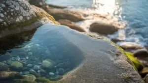 Rock Pool With Crystal Clear Water