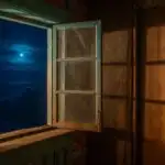 Shadowed Window in Old House