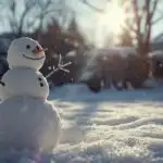 Snowman in Backyard Under Bright Winter Sun