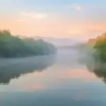 Soft Fog Over Quiet River at Dawn