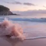 Soft Pink Waves Splashing on Quiet Beach
