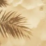 Summer Palm Shadows on Bright Sand