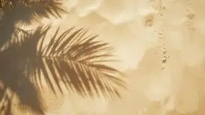 Summer Palm Shadows on Bright Sand