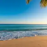 Sunny Tropical Paradise Beach